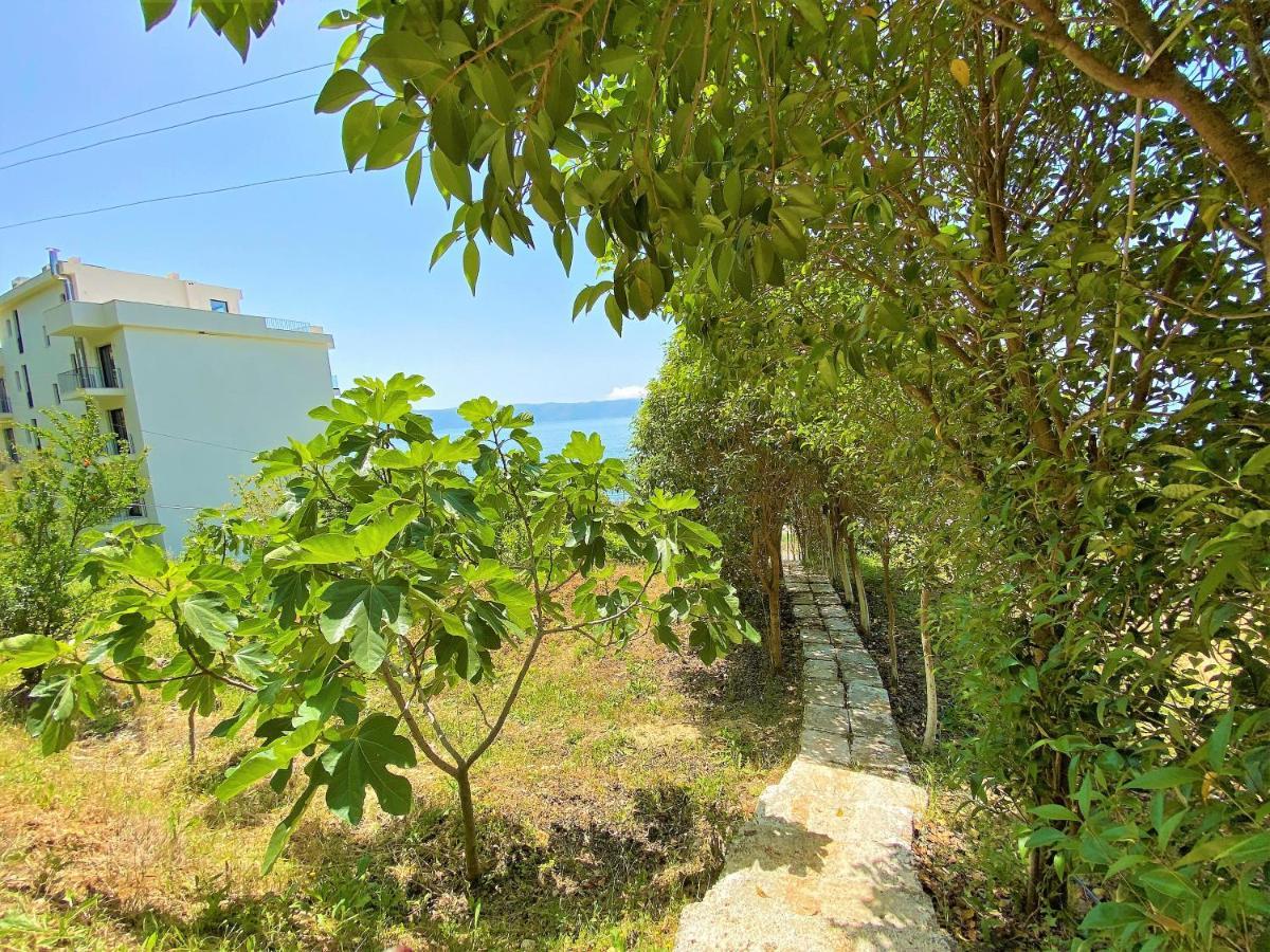 Ramo'S Cozy Beachside Haven With Panoramic Views - 2Nd Vlorë エクステリア 写真