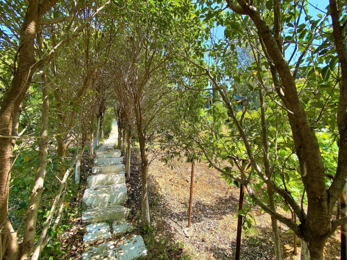 Ramo'S Cozy Beachside Haven With Panoramic Views - 2Nd Vlorë エクステリア 写真